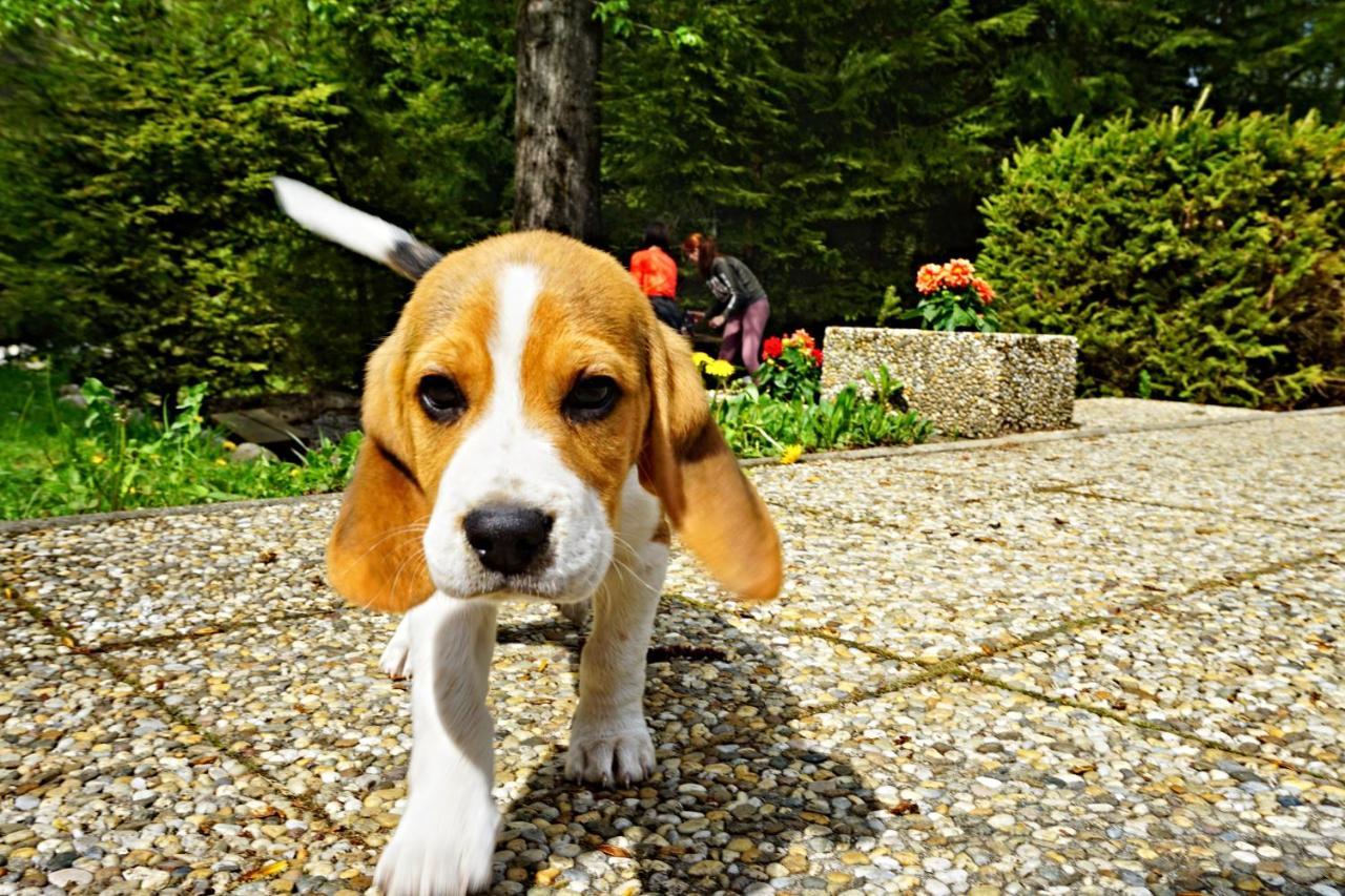 Chata Bacova Skala Liptovský Ján Exterior foto